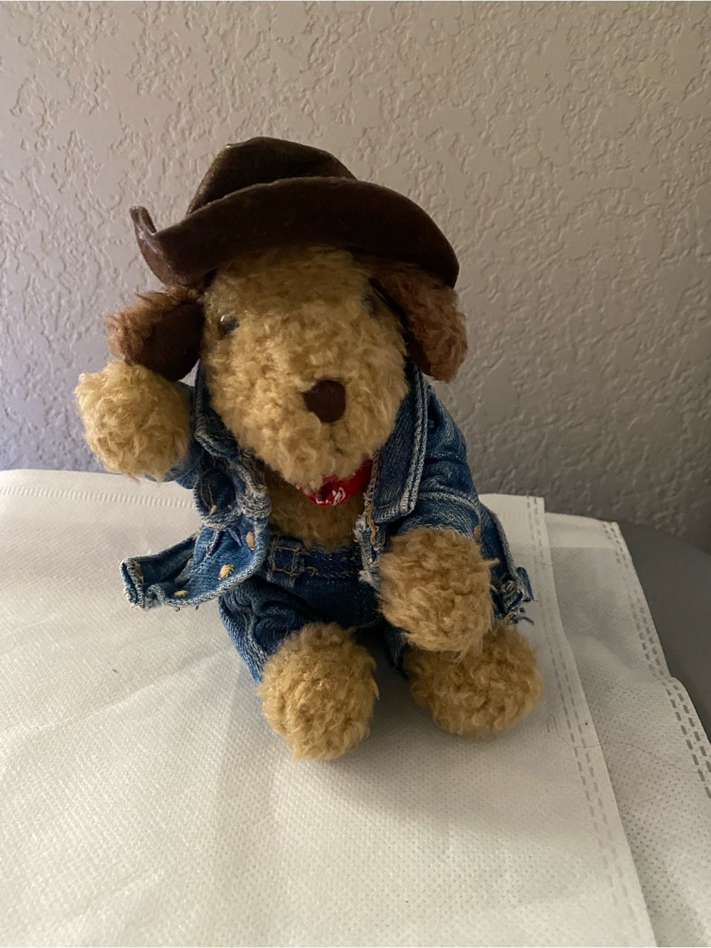 Old Navy Plush Toy Dog Cowboy Hat Jeans Jacket 6 Inch Branie Curly Hair Puppy